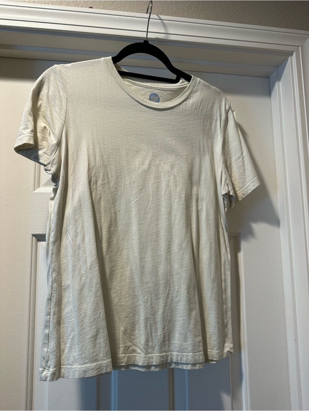 Beachly Soft Crewneck Tee in Light Green